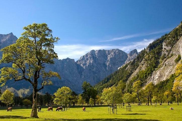 Апартаменты Alpenfreund Миттенвальд Экстерьер фото